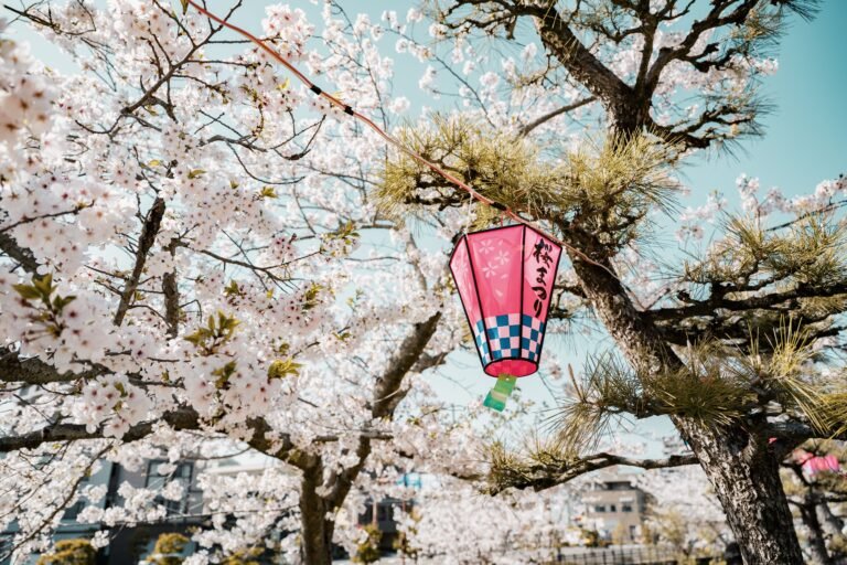 Ultimate Guide to Visiting Japan During Cherry Blossom Season